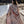 The Solstice Robe
