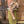 Homesteader | Apron