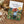 Floret Farm's | Cut Flower Garden
