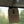 Slow Days Club | Air Freshener