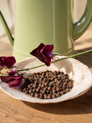 Sweet Pea | Seeds