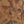Yoga Mat | Floral