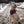 Dog Bandana | Sunset