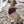 Dog Bandana | Sunset