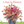 Floret Farms's | A Year in Flowers