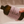The Hobbyist | Forest Bathing Bubble Bath