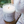 The Hobbyist | Cox Bay Candle