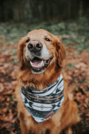 Dog Bandana | OUTBACK - Southwest - Navajo - Aztec - Western - Geometric Tie On - Pet Bandana -Upcycled