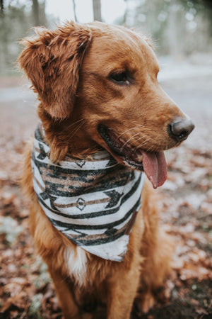 Dog Bandana | OUTBACK - Southwest - Navajo - Aztec - Western - Geometric Tie On - Pet Bandana -Upcycled