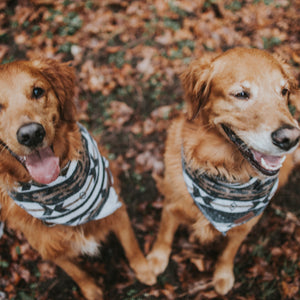 Dog Bandana | OUTBACK - Southwest - Navajo - Aztec - Western - Geometric Tie On - Pet Bandana -Upcycled