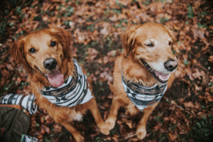 Dog Bandana | OUTBACK - Southwest - Navajo - Aztec - Western - Geometric Tie On - Pet Bandana -Upcycled