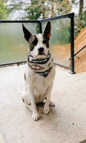 Dog Bandana | OUTBACK - Southwest - Navajo - Aztec - Western - Geometric Tie On - Pet Bandana -Upcycled