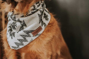 Dog Bandana | ISLA - Southwest - Navajo - Aztec - Tie On - Pet Bandana -Upcycled - Boho