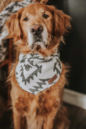 Dog Bandana | ISLA - Southwest - Navajo - Aztec - Tie On - Pet Bandana -Upcycled - Boho