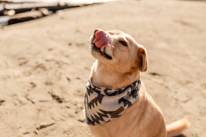 Dog Bandana | ISLA - Southwest - Navajo - Aztec - Tie On - Pet Bandana -Upcycled - Boho