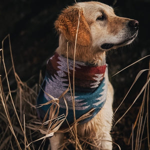 Dog Bandana - THE TRAVELLER - Southwest - Navajo - Aztec - Tie On - Pet Bandana -Upcycled - Boho