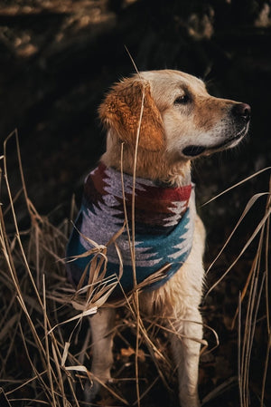 Dog Bandana - THE TRAVELLER - Southwest - Navajo - Aztec - Tie On - Pet Bandana -Upcycled - Boho
