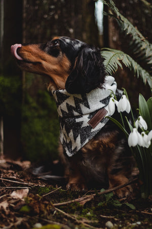 Dog Bandana | ISLA - Southwest - Navajo - Aztec - Tie On - Pet Bandana -Upcycled - Boho