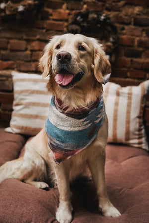 Dog Bandana - THE TRAVELLER - Southwest - Navajo - Aztec - Tie On - Pet Bandana -Upcycled - Boho