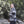 SURFSIDE Jacket | RIPTIDE