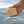 COASTAL COVE | Botanical Soap