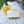 COASTAL COVE | Botanical Soap