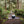 COX BAY | Yoga Mat