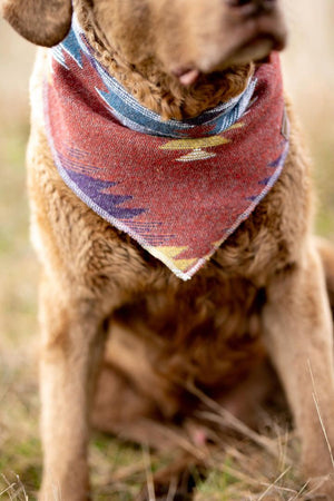 Dog Bandana | WANDERER - Southwest - Navajo - Aztec - Tie On - Pet Bandana -Upcycled - Boho