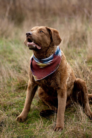 Dog Bandana | WANDERER - Southwest - Navajo - Aztec - Tie On - Pet Bandana -Upcycled - Boho