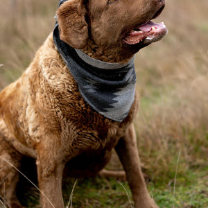 Dog Bandana | RIPTIDE - Southwest - Navajo - Aztec - Western - Geometric Tie On - Pet Bandana -Upcycled