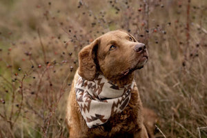 Dog Bandana | SANDY - Southwest - Navajo - Aztec - Western - Geometric Tie On - Pet Bandana -Upcycled