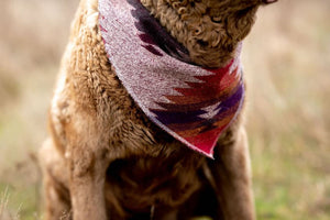 Dog Bandana | SUNSET - Southwest - Navajo - Aztec - Western - Geometric Tie On - Pet Bandana -Upcycled