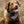 Dog Bandana | RIPTIDE - Southwest - Navajo - Aztec - Western - Geometric Tie On - Pet Bandana -Upcycled