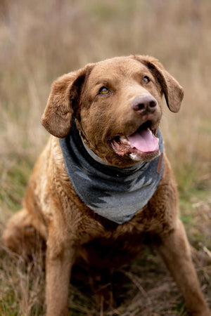 Dog Bandana | RIPTIDE - Southwest - Navajo - Aztec - Western - Geometric Tie On - Pet Bandana -Upcycled