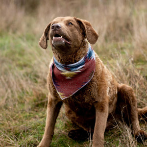 Dog Bandana | WANDERER - Southwest - Navajo - Aztec - Tie On - Pet Bandana -Upcycled - Boho