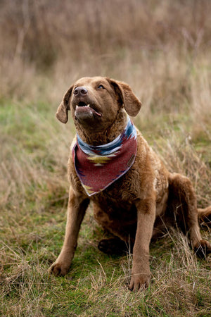 Dog Bandana | WANDERER - Southwest - Navajo - Aztec - Tie On - Pet Bandana -Upcycled - Boho
