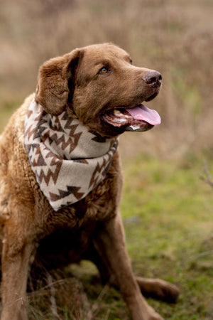 Dog Bandana | SANDY - Southwest - Navajo - Aztec - Western - Geometric Tie On - Pet Bandana -Upcycled