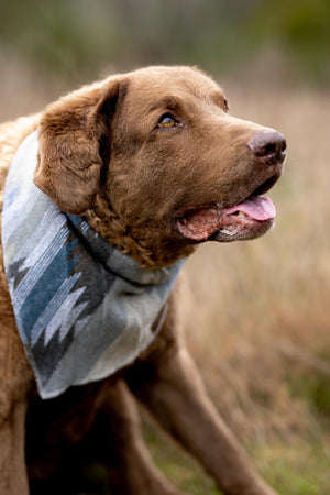 Dog Bandana | LAKESIDE - Southwest - Navajo - Aztec - Western - Geometric Tie On - Pet Bandana -Upcycled