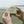 BEACH BLISS | Botanical Soap