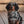 Dog Bandana | Isla